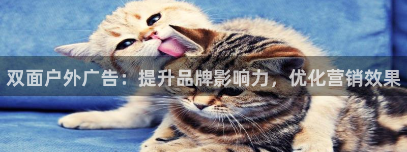 杏宇官方平台官网