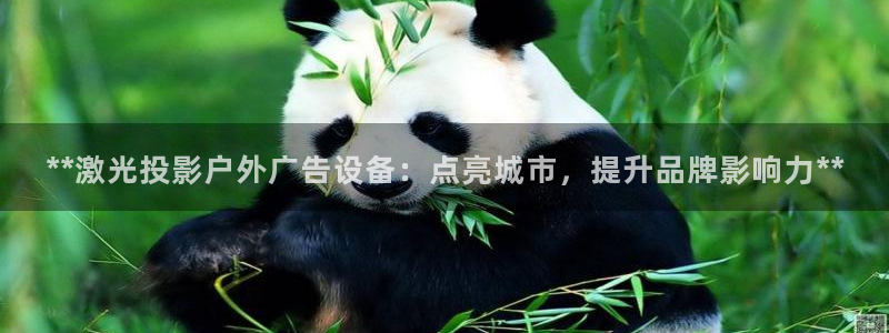 杏宇平台注册地址在哪里