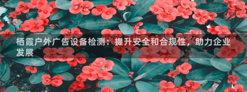 杏宇平台开户