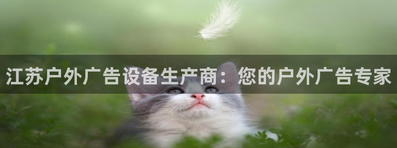杏宇平台代理怎么赚钱的