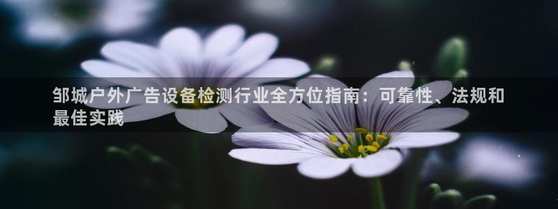 杏宇平台代理多少钱一次