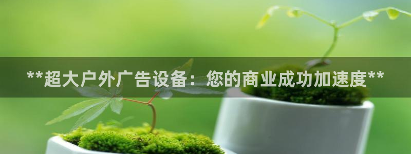 杏宇平台注册地址在哪里