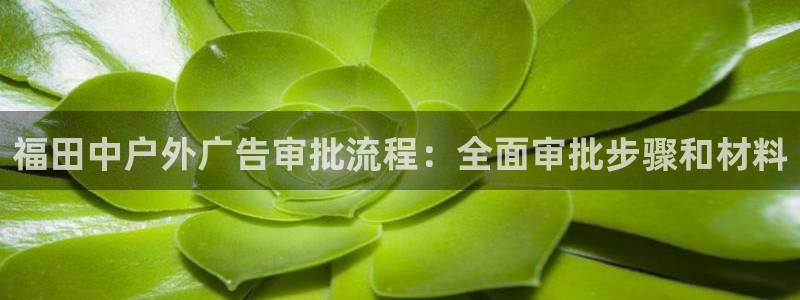 杏宇平台官网注册