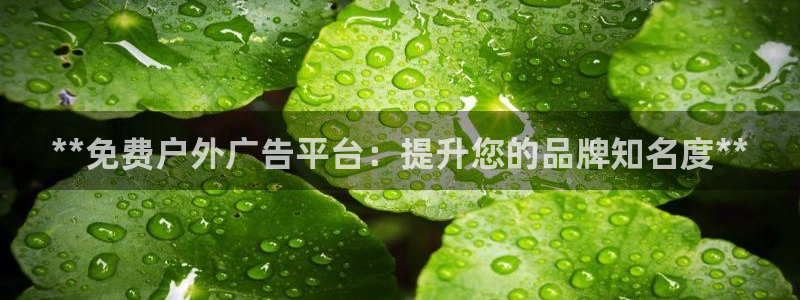 杏宇平台是什么：**免费户外广告平台：提升您的品牌知名度**