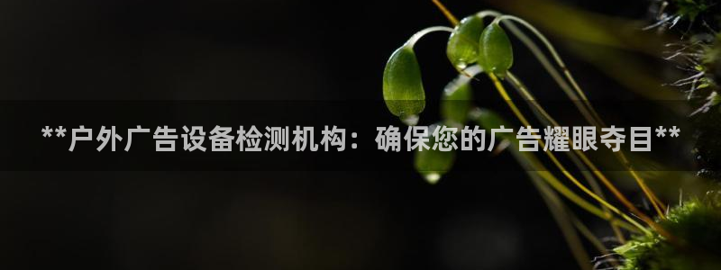 杏宇平台登录步骤是什么：**户外广告设备检测机构：确保您的广告耀眼夺目**