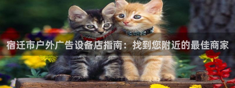 杏宇平台开户：宿迁市户外广告设备店指南：找到您附近的最佳商家