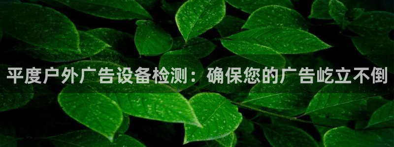 杏宇平台是什么：平度户外广告设备检测：确保您的广告屹立不倒