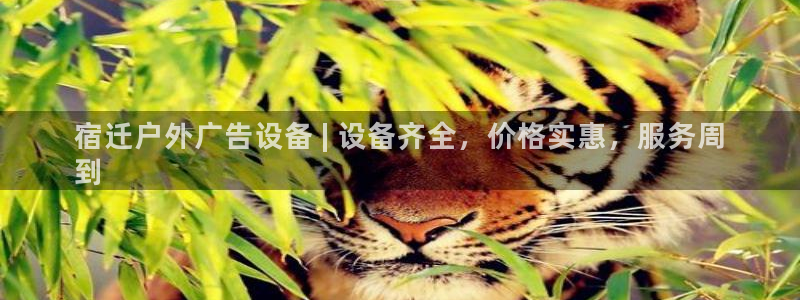 杏宇平台代理怎么赚钱快：宿迁户外广告设备 | 设备齐全，价格实惠，服务周
到