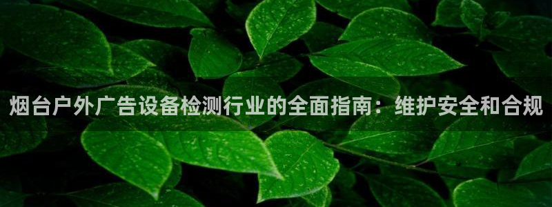 杏宇平台代理怎么样可靠吗：烟台户外广告设备检测行业的全面指南：维护安全和合规