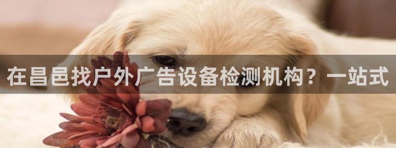 杏宇平台登录方法：在昌邑找户外广告设备检测机构？一站式