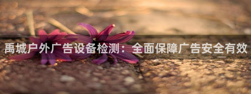 杏宇平台提现为什么这么久呢：禹城户外广告设备检测：全面保障广告安全有效