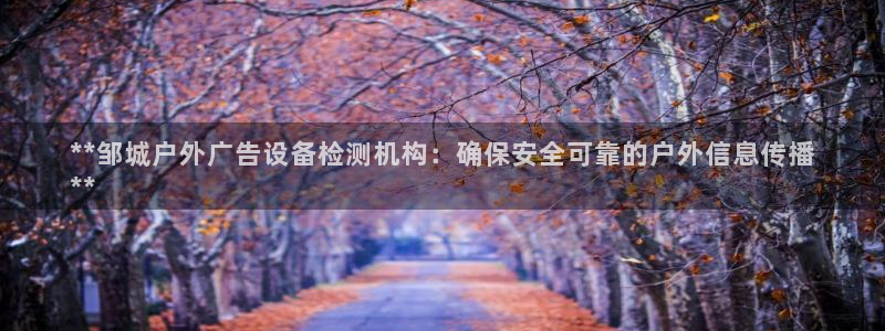 杏宇平台客服：**邹城户外广告设备检测机构：确保安全可靠的户外信息传播
**