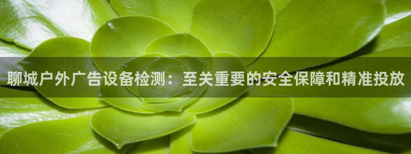 杏宇平台代理多少钱一个月：聊城户外广告设备检测：至关重要的安全保障和精准投放