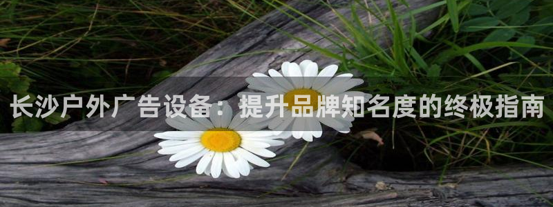 杏宇平台登录步骤图：长沙户外广告设备：提升品牌知名度的终极指南