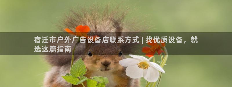 杏宇平台代理怎么样赚钱：宿迁市户外广告设备店联系方式 | 找优质设备，就
选这篇指南