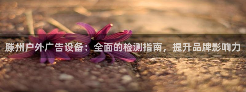 杏宇平台测速链接：滕州户外广告设备：全面的检测指南，提升品牌影响力
