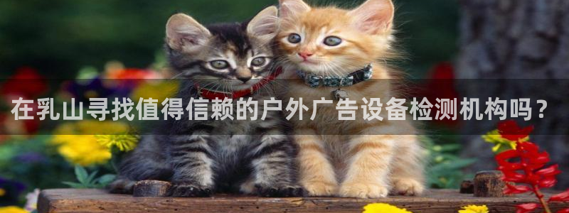 杏宇平台登录步骤：在乳山寻找值得信赖的户外广告设备检测机构吗？