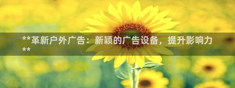 杏宇平台登录步骤图：**革新户外广告：新颖的广告设备，提升影响力
**