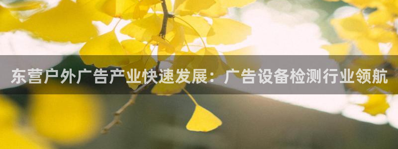 杏宇平台注册地址：东营户外广告产业快速发展：广告设备检测行业领航