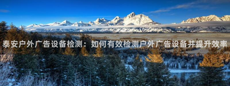 杏宇平台怎么样赚钱：泰安户外广告设备检测：如何有效检测户外广告设备并提升效率