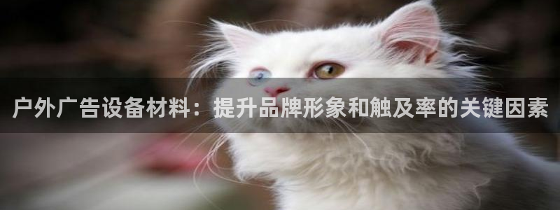 杏宇平台代理多少钱：户外广告设备材料：提升品牌形象和触及率的关键因素