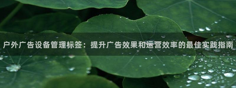杏宇平台代理多少钱一次