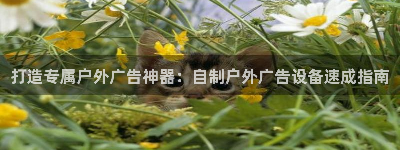 杏宇平台代理怎么赚钱快