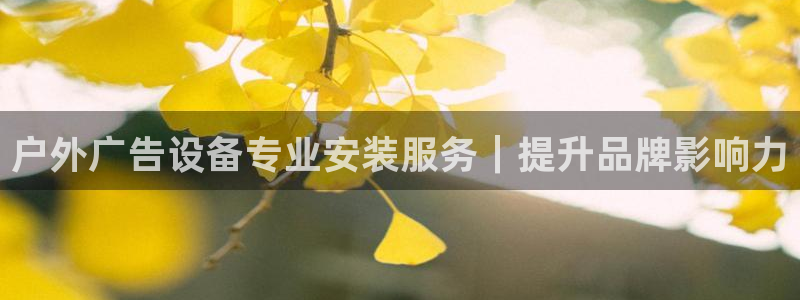 杏宇代理注册：户外广告设备专业安装服务｜提升品牌影响力
