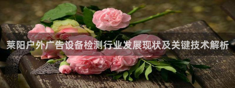 杏宇平台代理多少钱一个：莱阳户外广告设备检测行业发展现状及关键技术解析