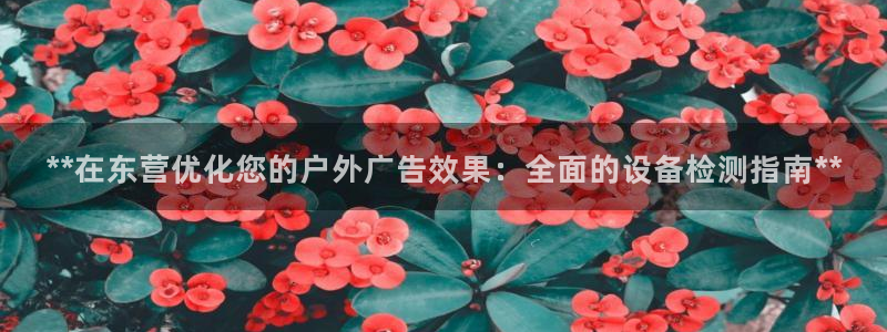 杏宇平台开户：**在东营优化您的户外广告效果：全面的设备检测指南**