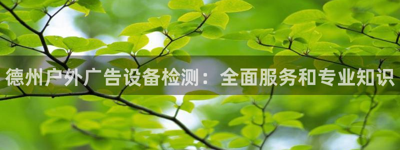 杏宇平台代理怎么样赚钱：德州户外广告设备检测：全面服务和专业知识