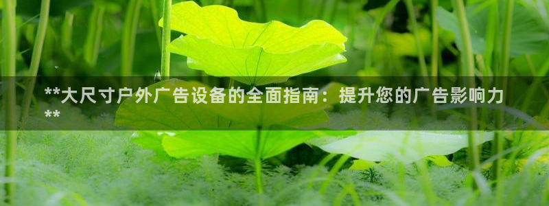 杏宇平台代理怎么样