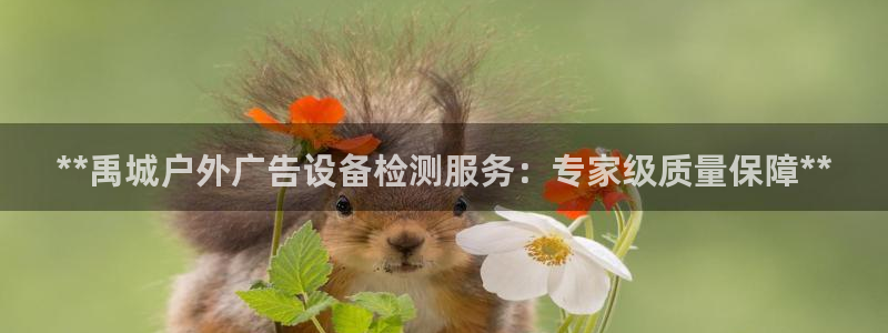 杏宇平台是什么：**禹城户外广告设备检测服务：专家级质量保障**
