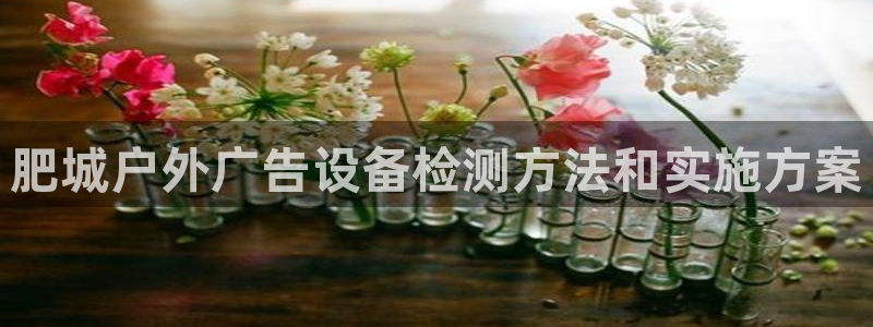 杏宇平台登录步骤图：肥城户外广告设备检测方法和实施方案