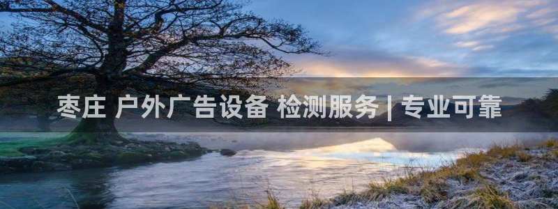 杏宇平台招商：枣庄 户外广告设备 检测服务 | 专业可靠