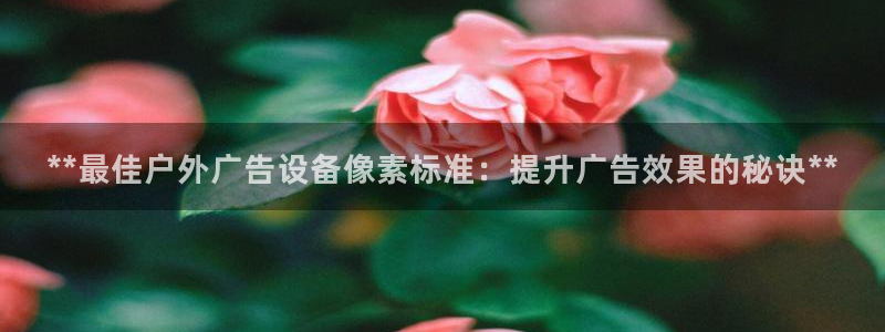 杏宇平台总代理