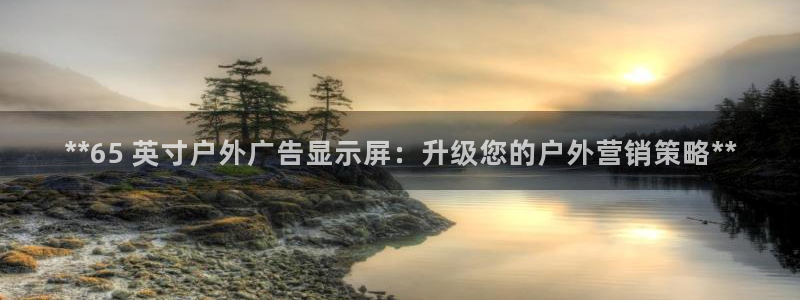 杏宇平台代理多少钱一个