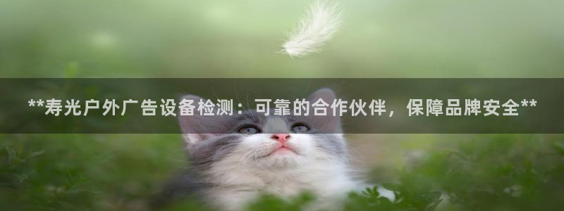 杏宇平台注册地址：**寿光户外广告设备检测：可靠的合作伙伴，保障品牌安全**