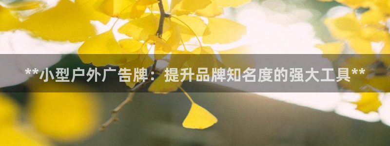 杏宇平台总代理是谁：**小型户外广告牌：提升品牌知名度的强大工具**
