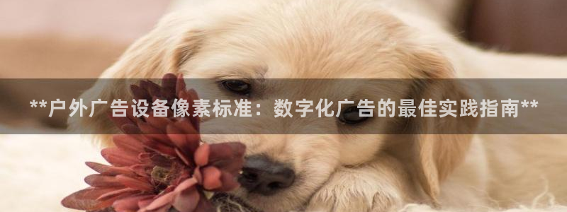 杏宇平台好吗：**户外广告设备像素标准：数字化广告的最佳实践指南**