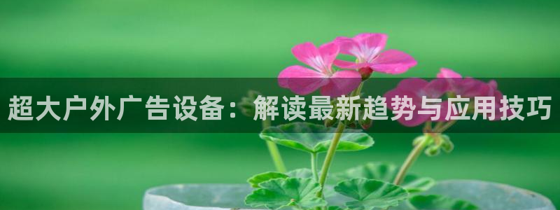 杏宇平台是什么：超大户外广告设备：解读最新趋势与应用技巧