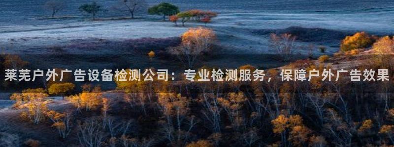 杏宇平台怎么样：莱芜户外广告设备检测公司：专业检测服务，保障户外广告效果