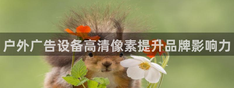 杏宇官方平台官网入口：户外广告设备高清像素提升品牌影响力