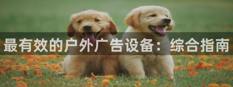 杏宇平台注册地址在哪里：最有效的户外广告