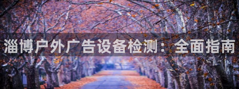 杏宇平台代理怎么赚钱的：淄博户外广告设备检测：全面指南