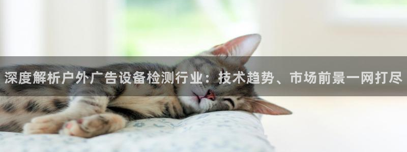 杏宇平台注册地址：深度解析户外广告设备检测行业：技术趋势、市场前景一网打尽