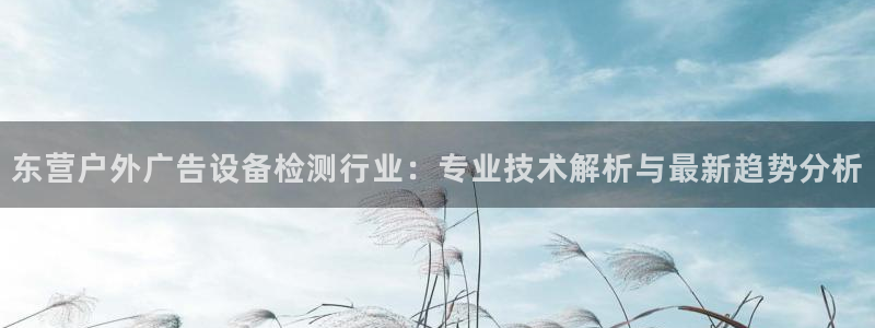 杏宇代理注册：东营户外广告设备检测行业：专业技术解析与最新趋势分析
