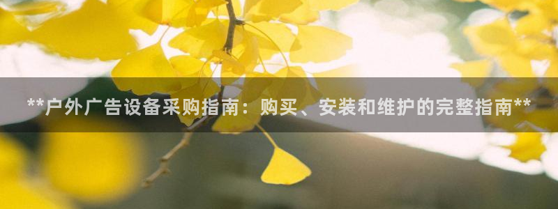 杏宇平台代理多少钱一个：**户外广告设备采购指南：购买、安装和维护的完整指南**