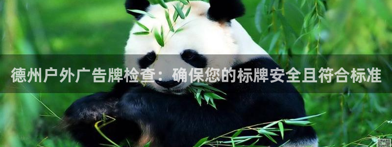 杏宇平台代理：德州户外广告牌检查：确保您的标牌安全且符合标准