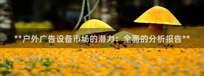 杏宇平台代理多少钱：**户外广告设备市场